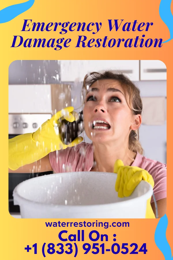 Emergency Water Damage Restoration in Evansville, WI