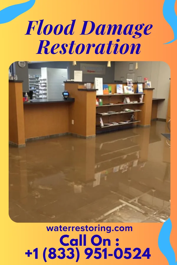 Flood Damage Restoration in Evansville, WI